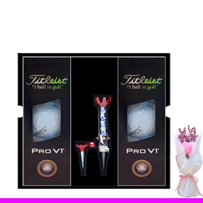 타이틀리스트 pro v1 6구 자석티세트 (3pc)