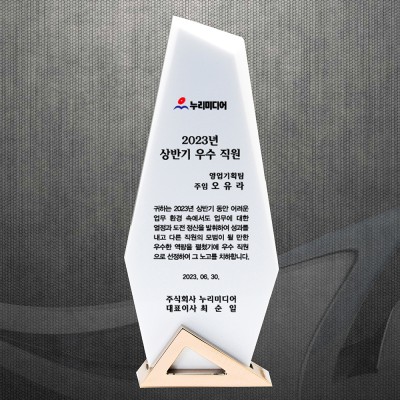 공로 재직기념 감사 위촉패 DS12-21-2