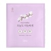 웜투데이 포켓워머 S 핫팩 45g / 국산