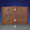 임명 퇴직 공로 위촉 감사패 SW-005-04