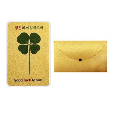행운의 네잎클로버 생화 인쇄코팅 맞춤 황금카드+황금봉투