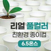 리얼풀컬러 친환경 종이컵 6.5온스