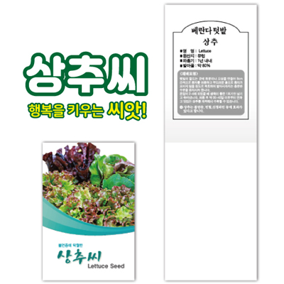 상추씨