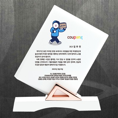 임명 감사 재퇴직기념패 DS12-19-2