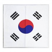 큰태극기손수건 / 스포츠 응원기